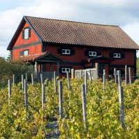 Romantisk gourmetupplevelse på vingård